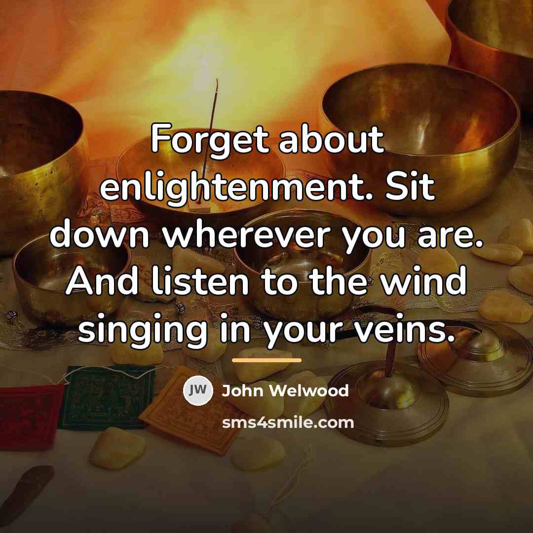 “Forget about enlightenment. Sit down wherever you are. And listen…” quote by John Welwood