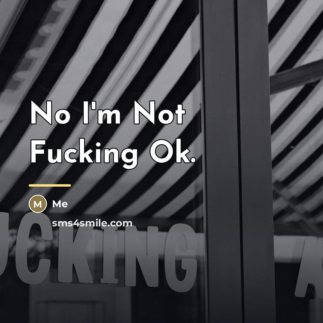 “No I'm Not Fucking Ok.…” quote by Me