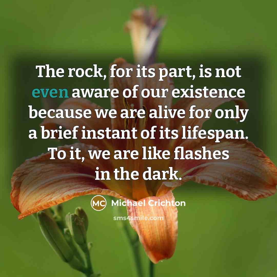 “The rock, for its part, is not even aware of…” quote by Michael Crichton