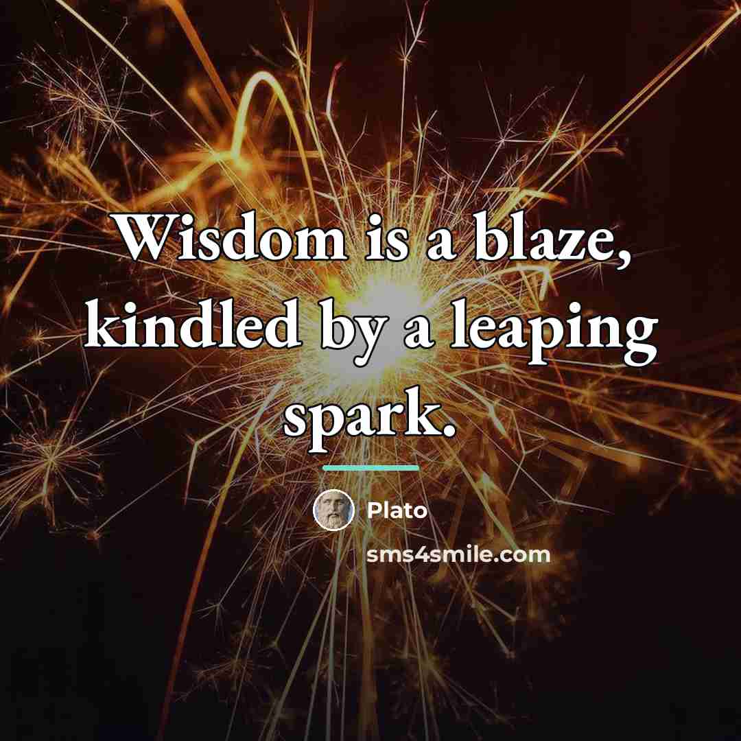 “Wisdom is a blaze, kindled by a leaping spark.…” quote by Plato