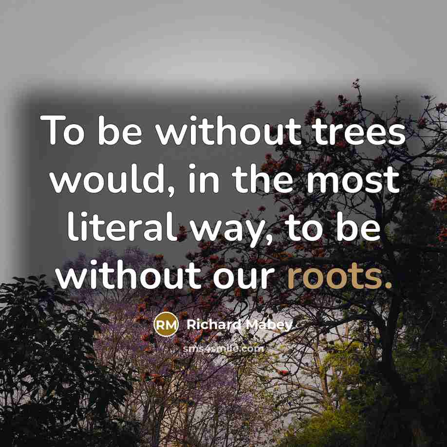 “To be without trees would, in the most literal way, to be without our roots.” quote by Richard Mabey