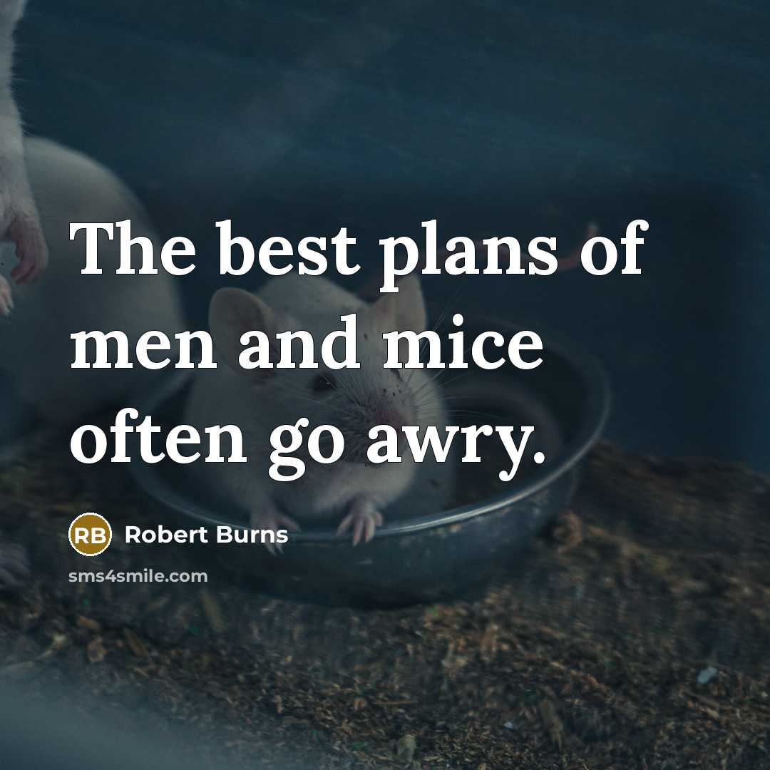 “The best plans of men and mice often go awry.…” quote by Robert Burns