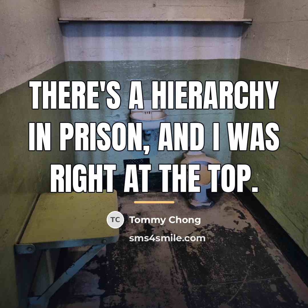 “There's a hierarchy in prison, and I was right at…” quote by Tommy Chong