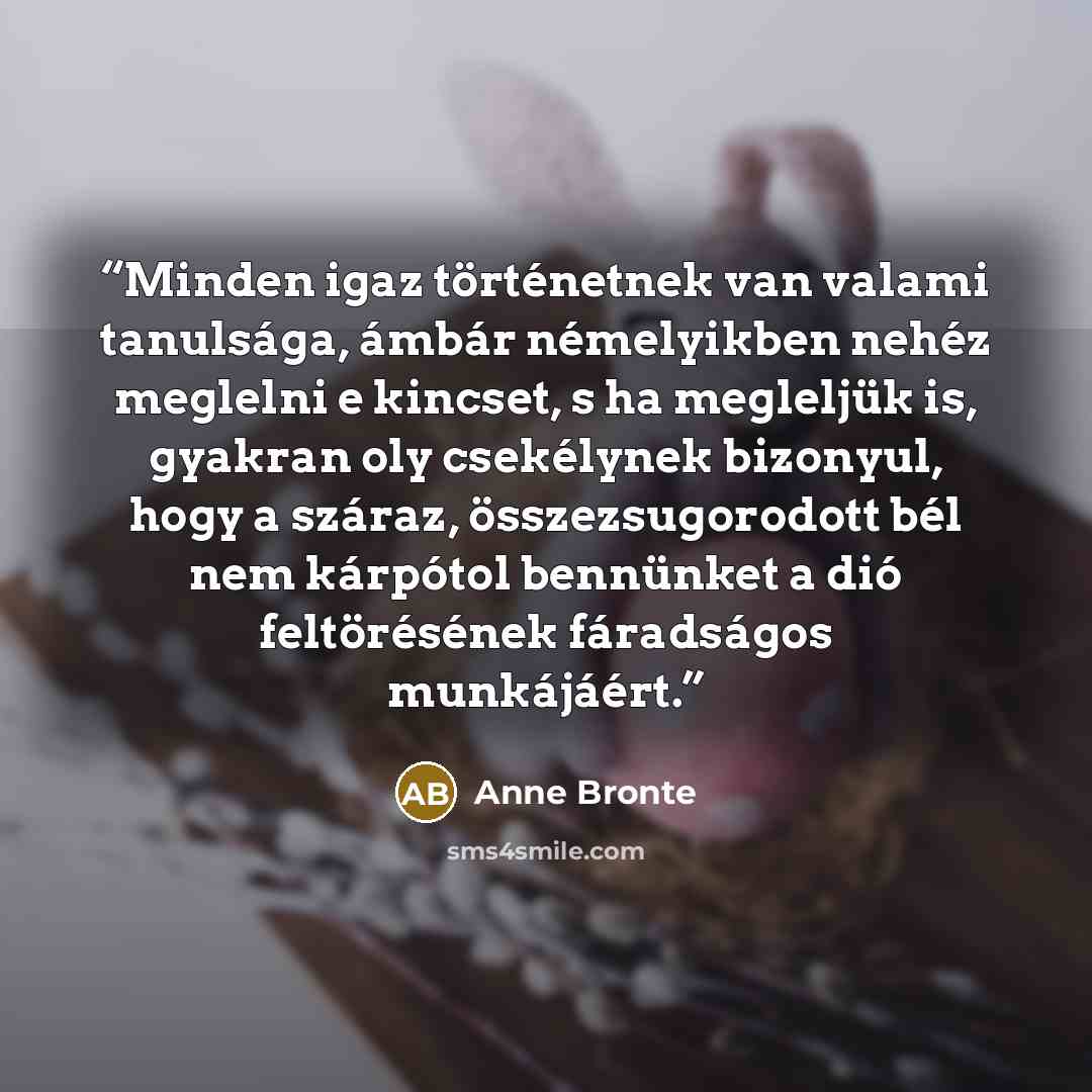 “Minden igaz történetnek van valami tanulsága, ámbár némelyikben nehéz meglelni e kincset, s ha megleljük is, gyakran oly csekélynek bizonyul, hogy a száraz, összezsugorodott bél nem kárpótol bennünket a dió feltörésének fáradságos munkájáért.” quote by Anne Brontë
