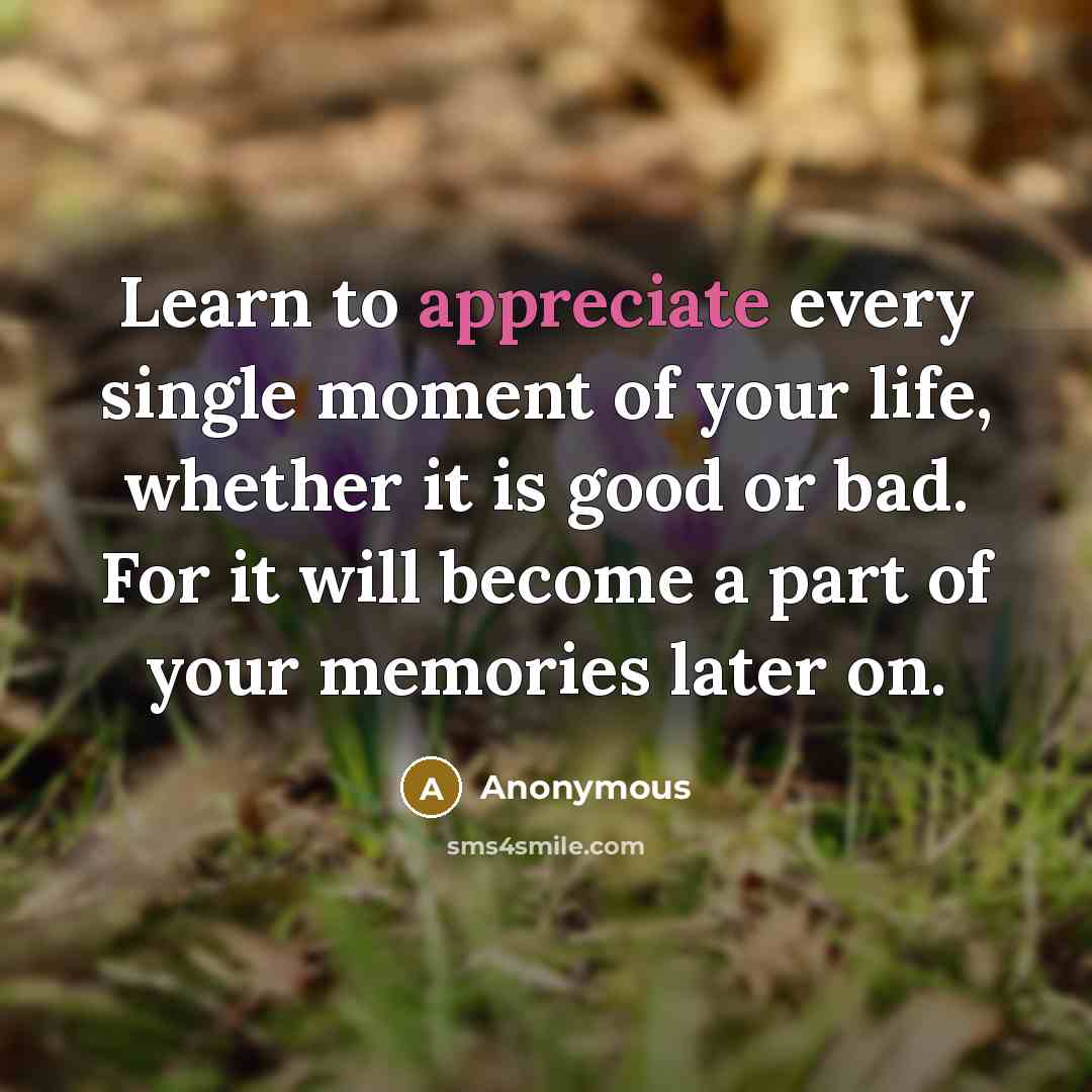 “Learn to appreciate every single moment of your life, whether…” quote by Anonymous