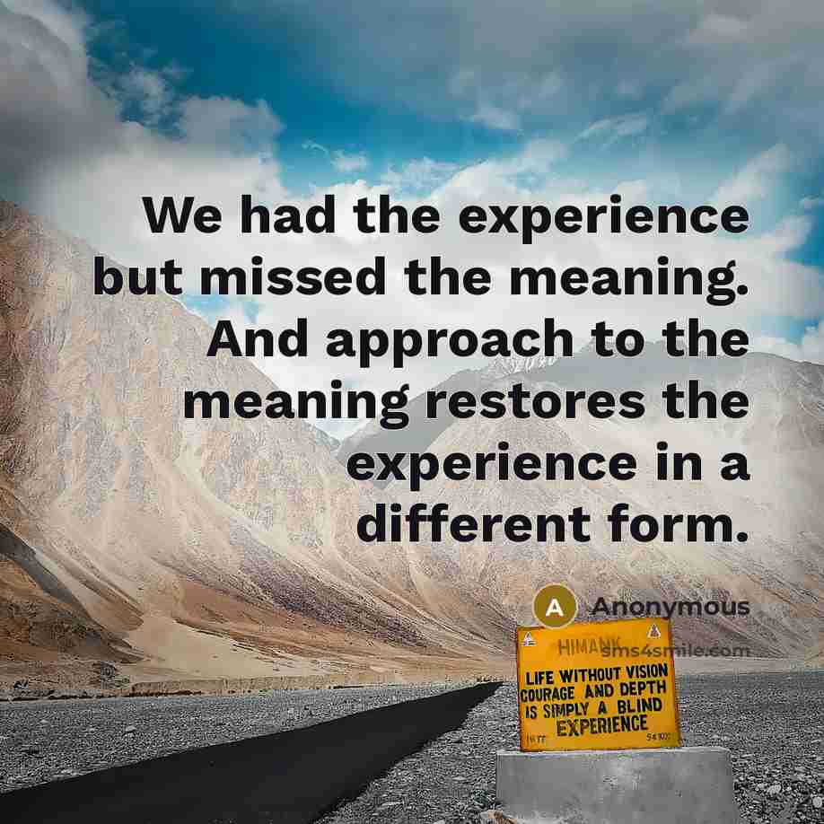 “We had the experience but missed the meaning. And approach…” quote by Anonymous