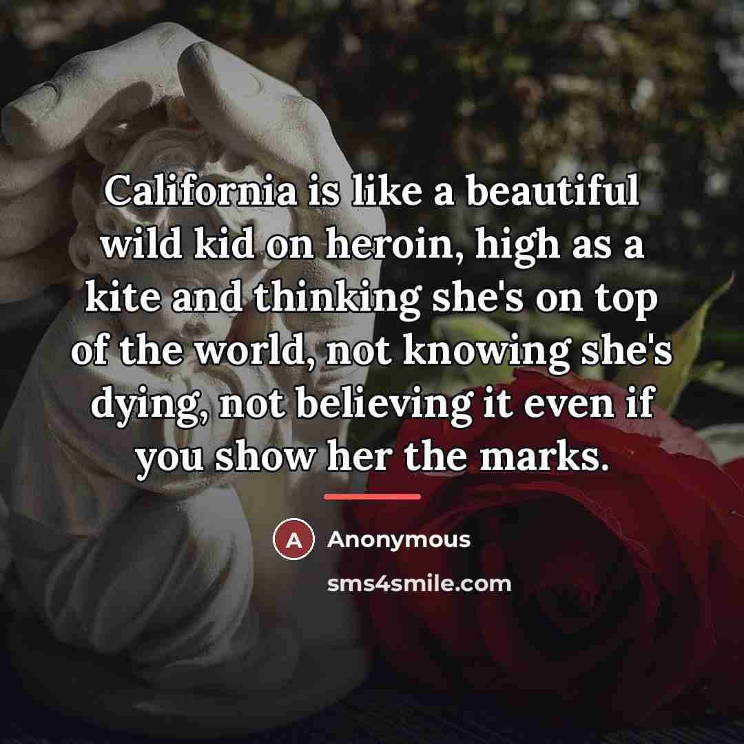 “California is like a beautiful wild kid on heroin, high…” quote by Anonymous