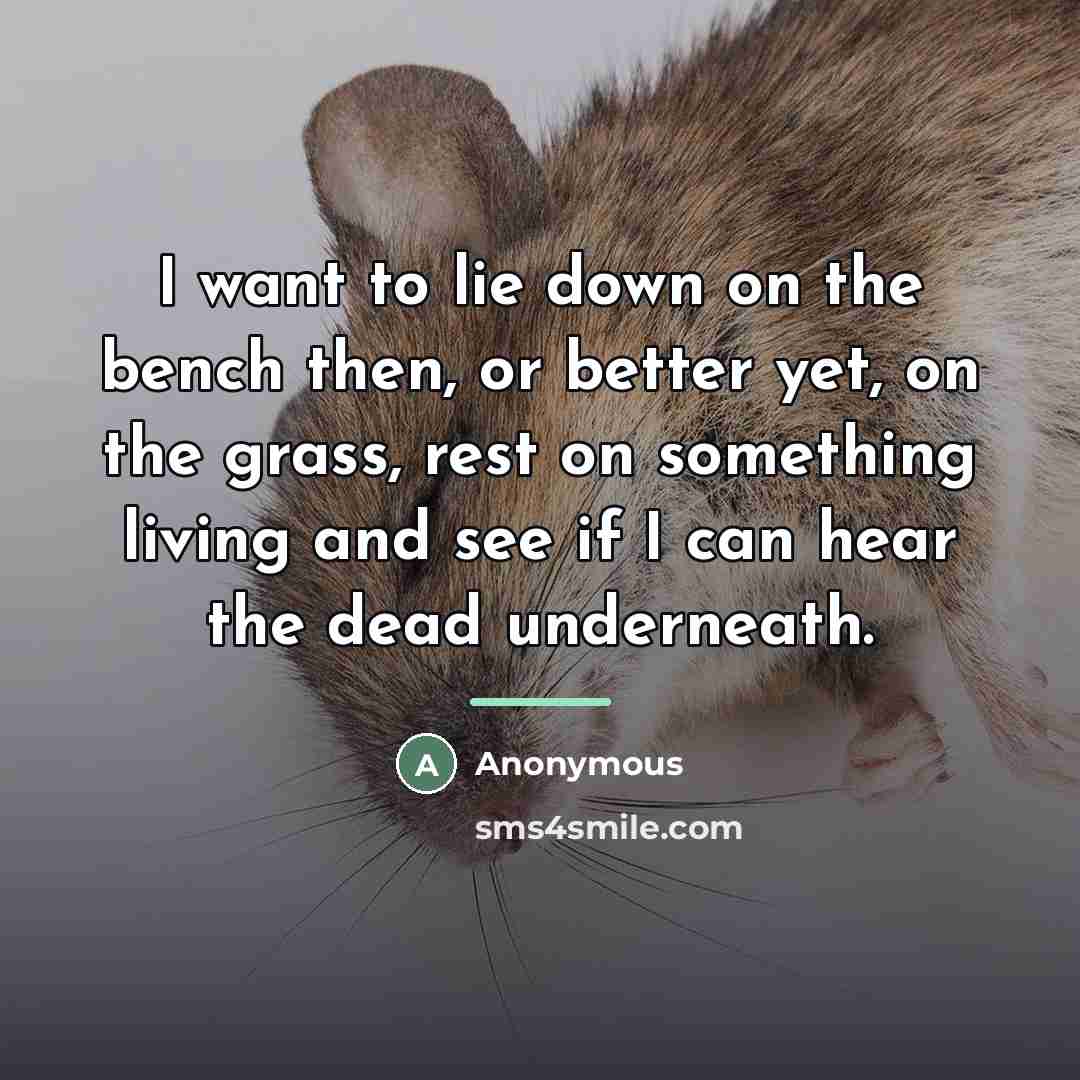 “I want to lie down on the bench then, or…” quote by Anonymous