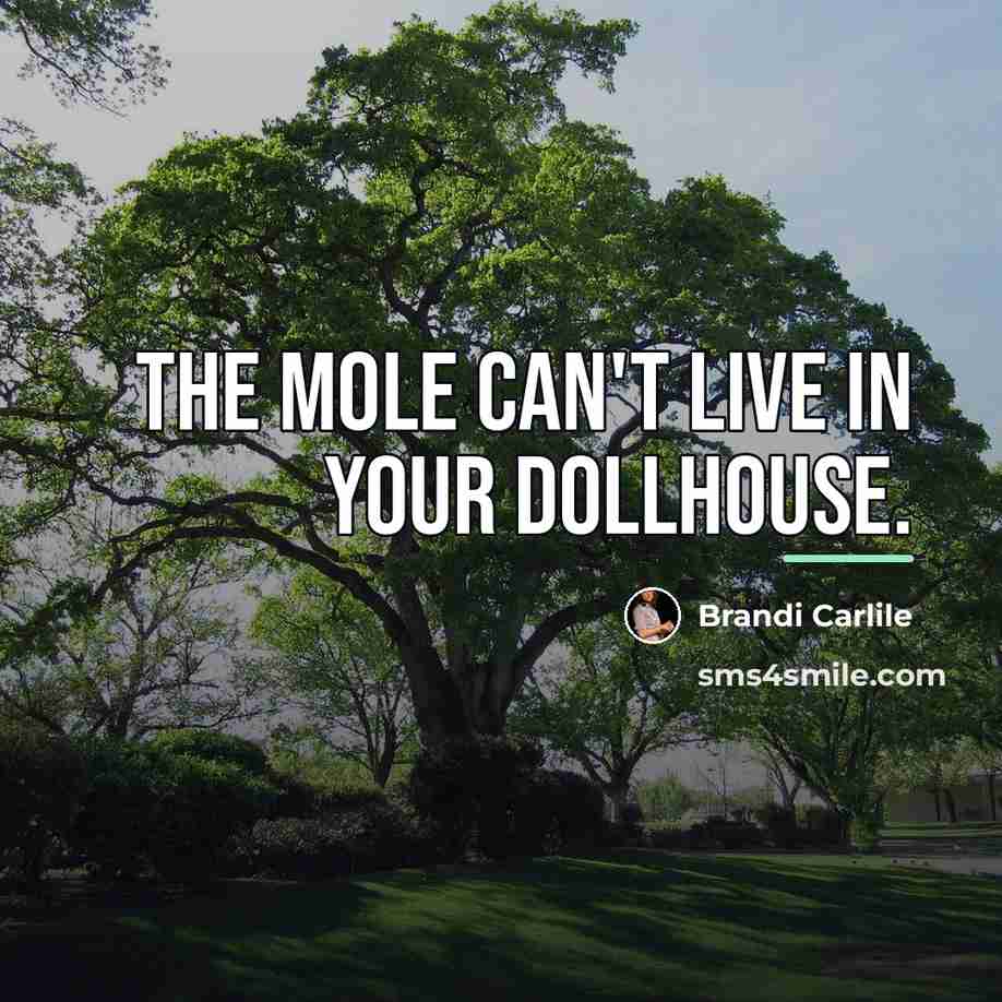 “The mole can't live in your dollhouse.…” quote by Brandi Carlile