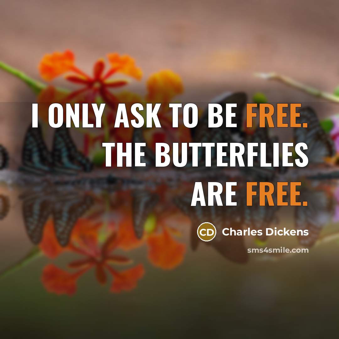 “I only ask to be free. The butterflies are free.” quote by Charles Dickens