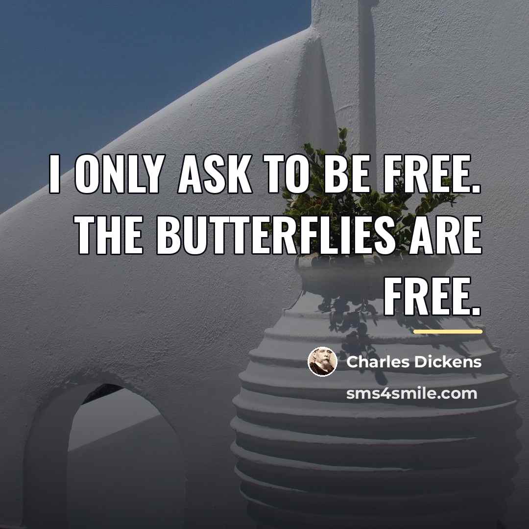 “I only ask to be free. The butterflies are free.…” quote by Charles Dickens