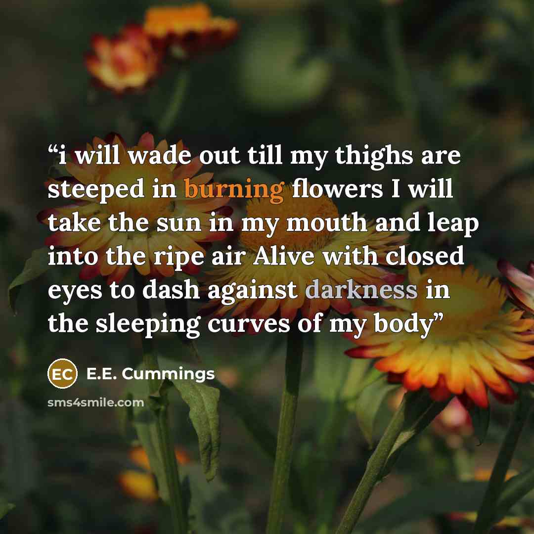 “i will wade out till my thighs are steeped in burning flowers I will take the sun in my mouth and leap into the ripe air Alive with closed eyes to dash against darkness in the sleeping curves of my body” quote by e.e. cummings