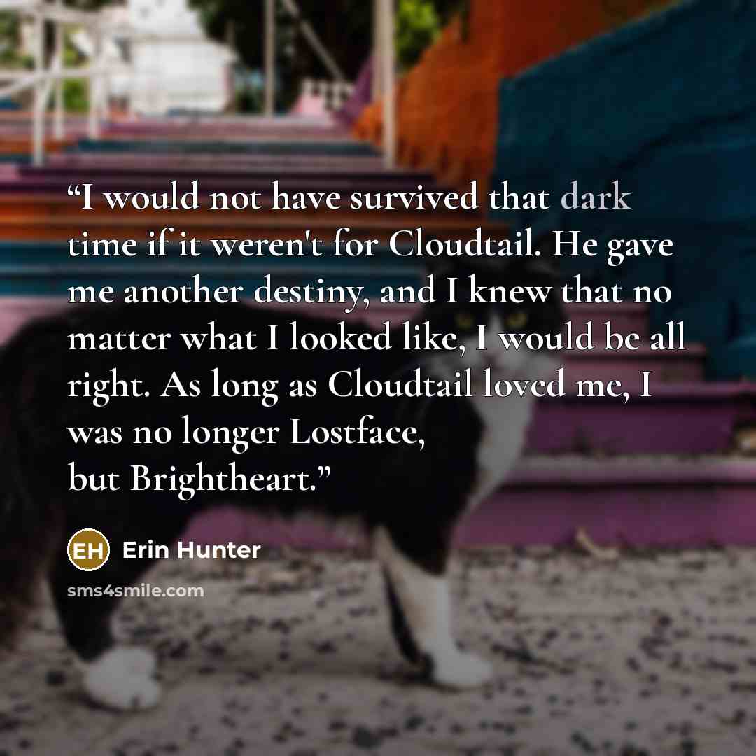 “I would not have survived that dark time if it weren't for Cloudtail. He gave me another destiny, and I knew that no matter what I looked like, I would be all right. As long as Cloudtail loved me, I was no longer Lostface, but Brightheart.” quote by Erin Hunter