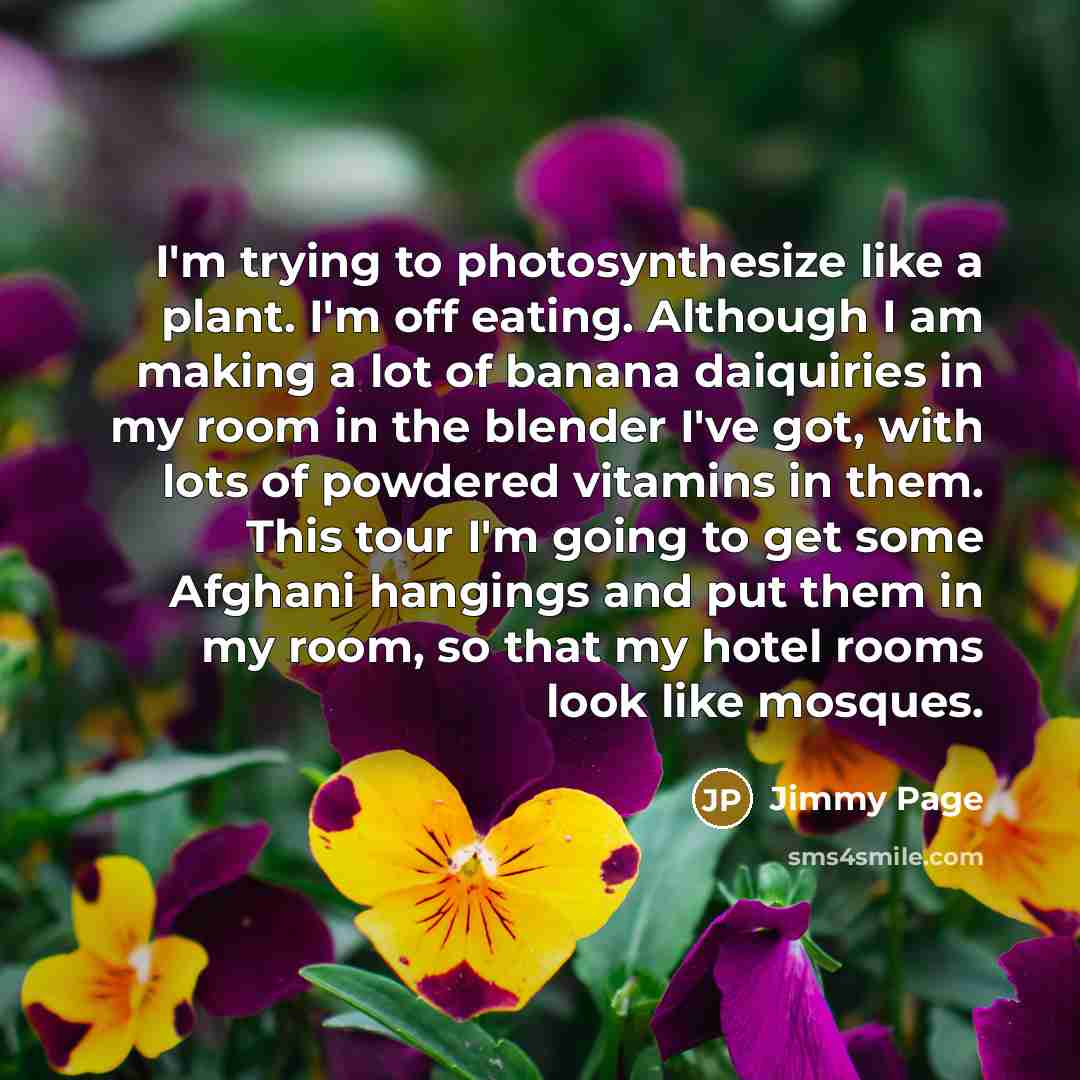 “I'm trying to photosynthesize like a plant. I'm off eating.…” quote by Jimmy Page