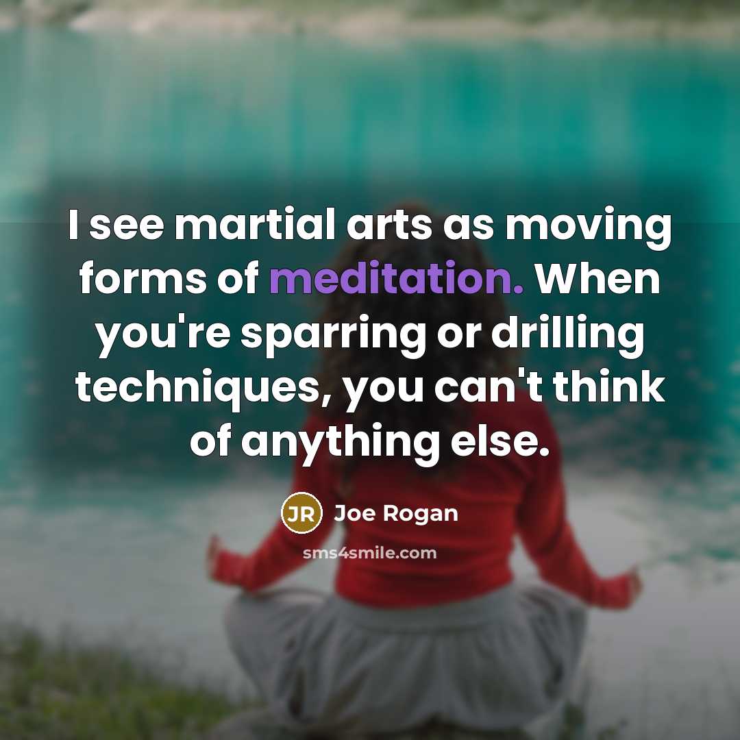“I see martial arts as moving forms of meditation. When…” quote by Joe Rogan