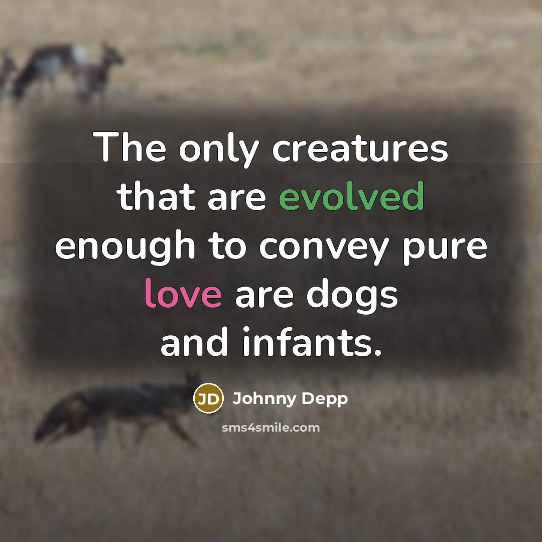 “The only creatures that are evolved enough to convey pure love are dogs and infants.” quote by Johnny Depp