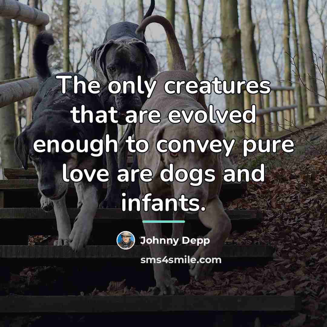 “The only creatures that are evolved enough to convey pure…” quote by Johnny Depp
