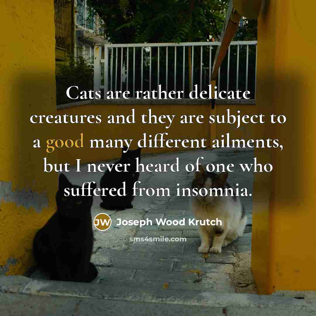 “Cats are rather delicate creatures and they are subject to…” quote by Joseph Wood Krutch