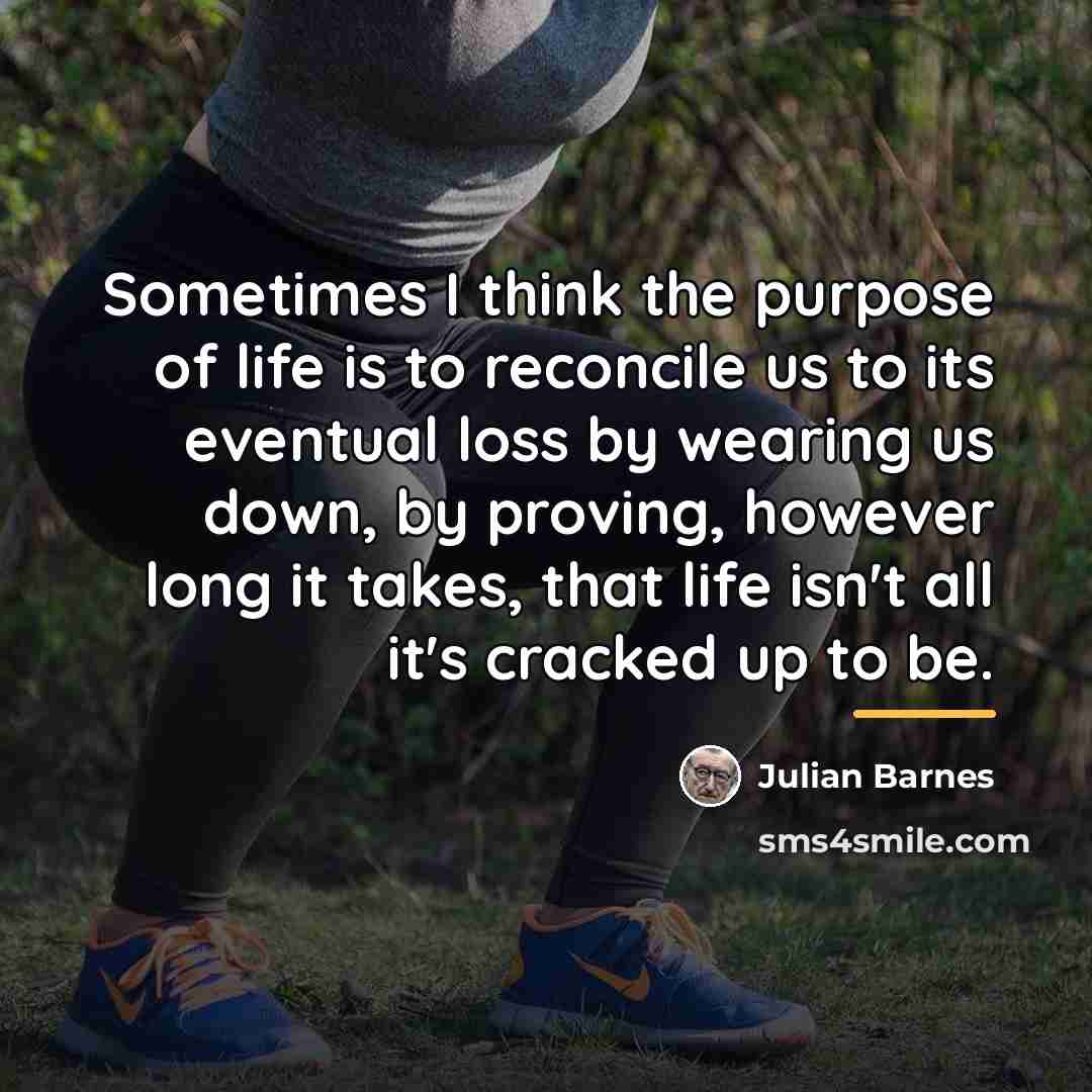 “Sometimes I think the purpose of life is to reconcile…” quote by Julian Barnes