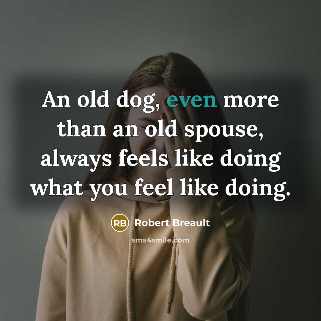 “An old dog, even more than an old spouse, always…” quote by Robert Breault