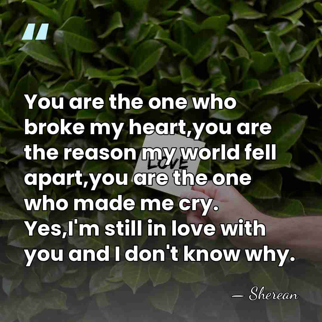 You are the one who broke my heart,you are the reason my&hellip; - Sherean