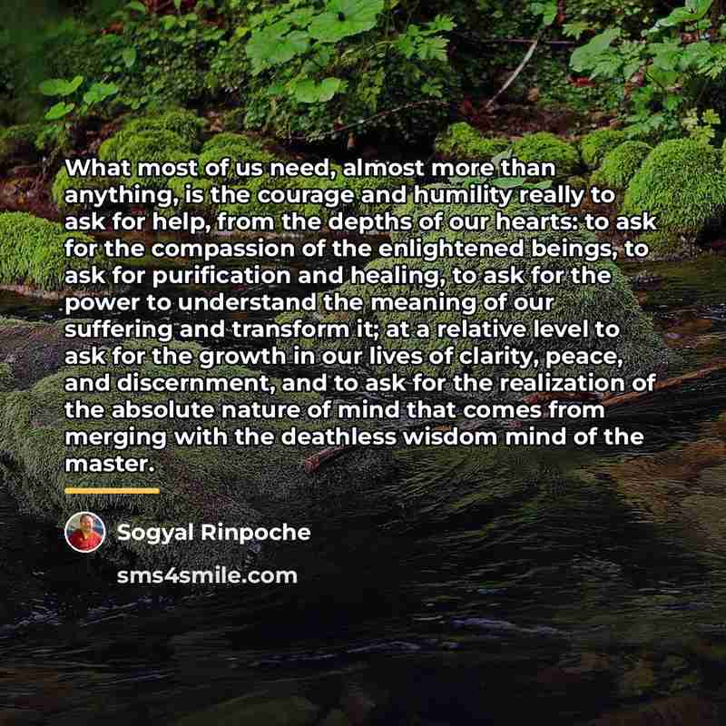 “What most of us need, almost more than anything, is…” quote by Sogyal Rinpoche