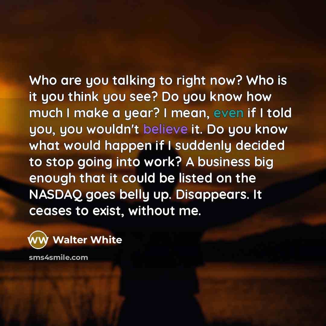 “Who are you talking to right now? Who is it…” quote by Walter White