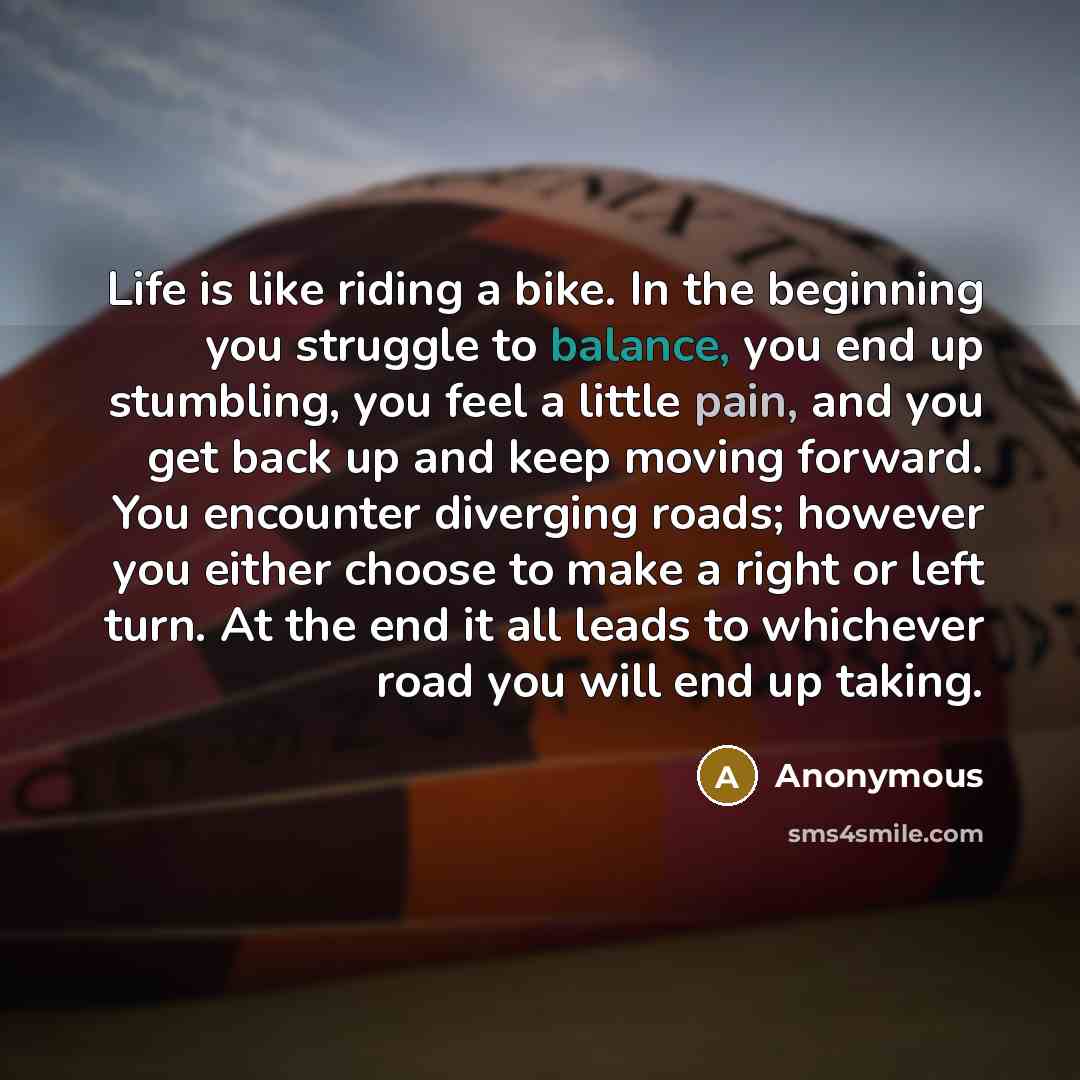 “Life is like riding a bike. In the beginning you struggle to balance, you end up stumbling, you feel a little pain, and you get back up and keep moving forward. You encounter diverging roads; however you either choose to make a right or left turn. At the end it all leads to whichever road you will…” quote by Anonymous