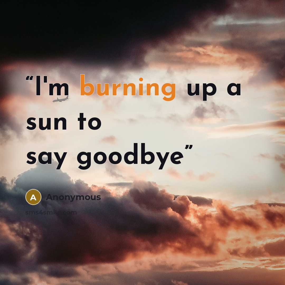 “I'm burning up a sun to say goodbye” quote by Anonymous