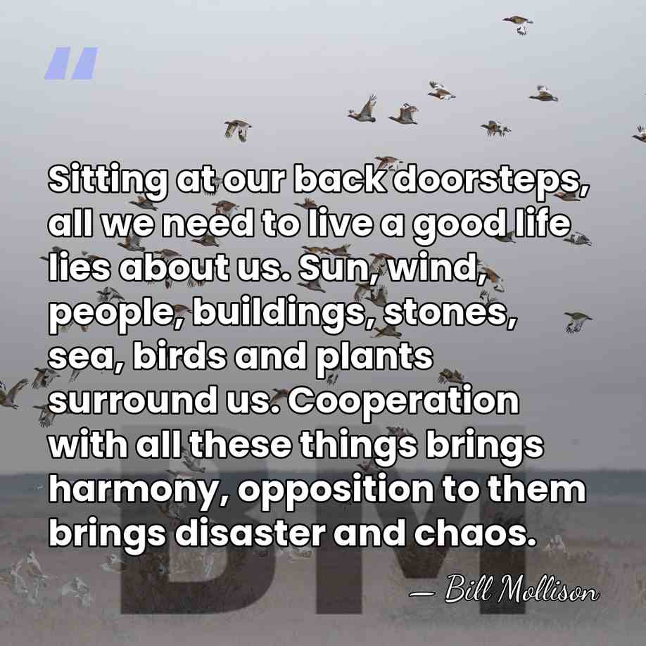 Sitting at our back doorsteps, all we need to live a good&hellip; - Bill Mollison