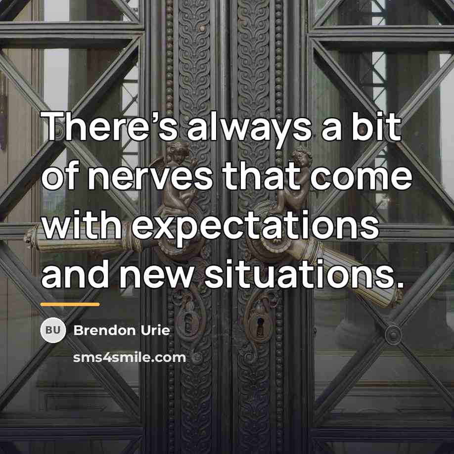 “There's always a bit of nerves that come with expectations…” quote by Brendon Urie