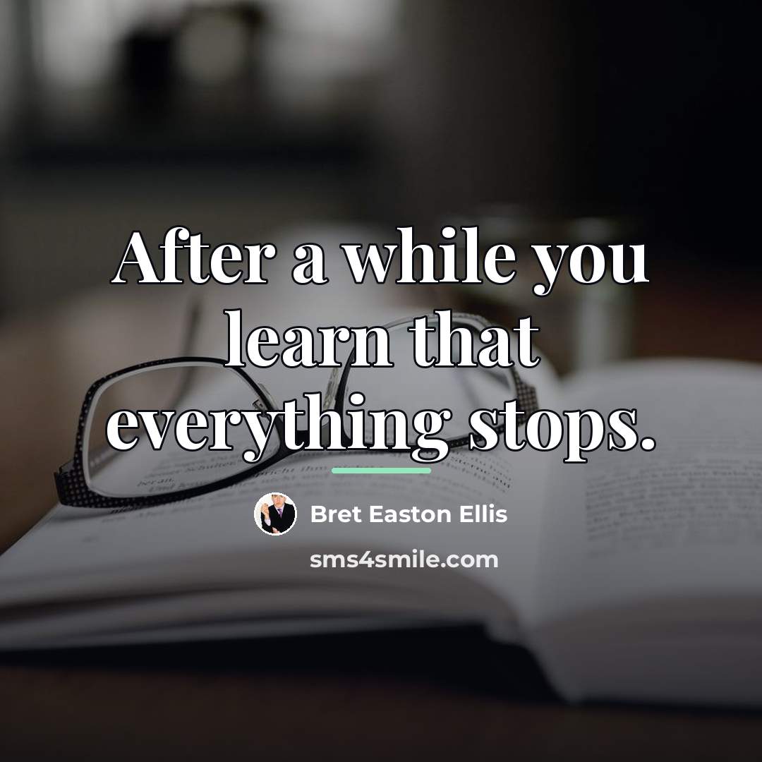 “After a while you learn that everything stops.…” quote by Bret Easton Ellis