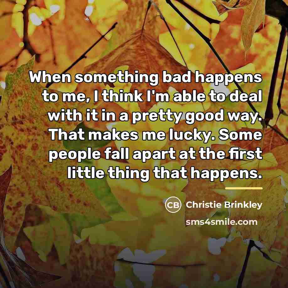 “When something bad happens to me, I think I'm able…” quote by Christie Brinkley