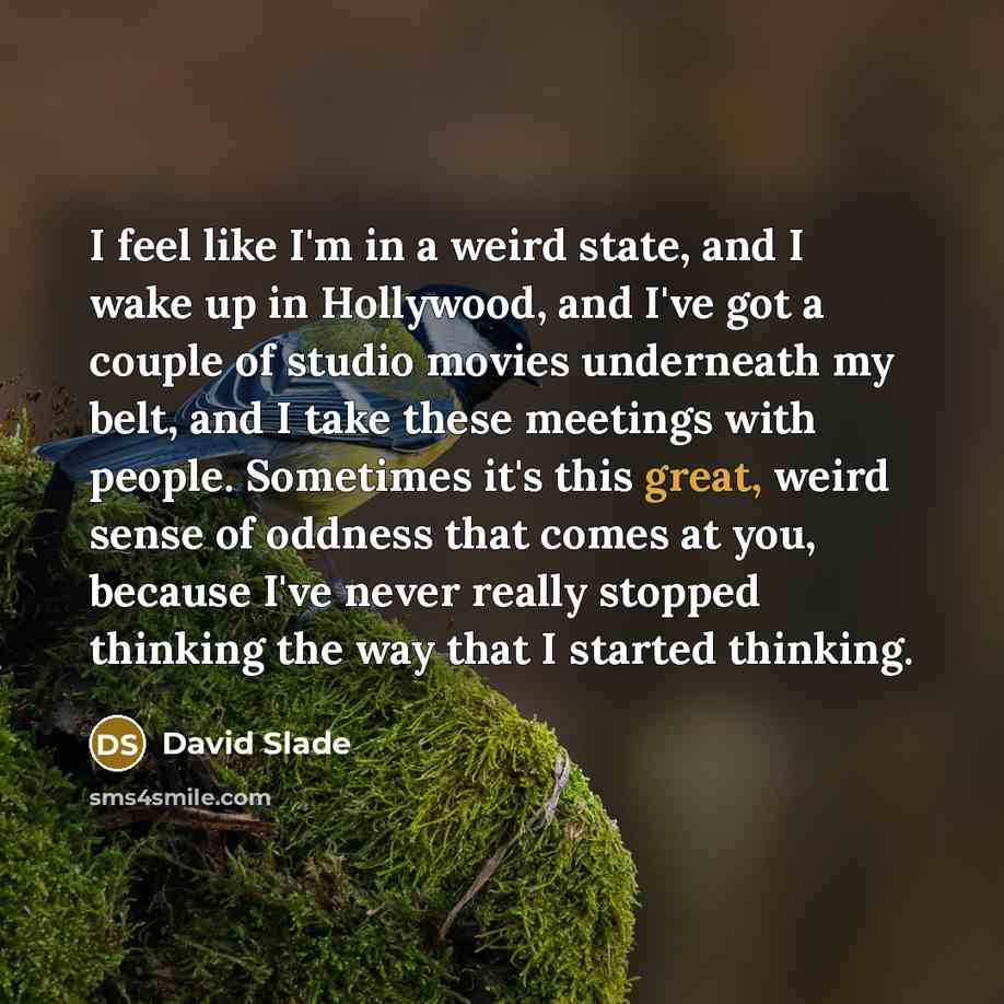 “I feel like I'm in a weird state, and I…” quote by David Slade