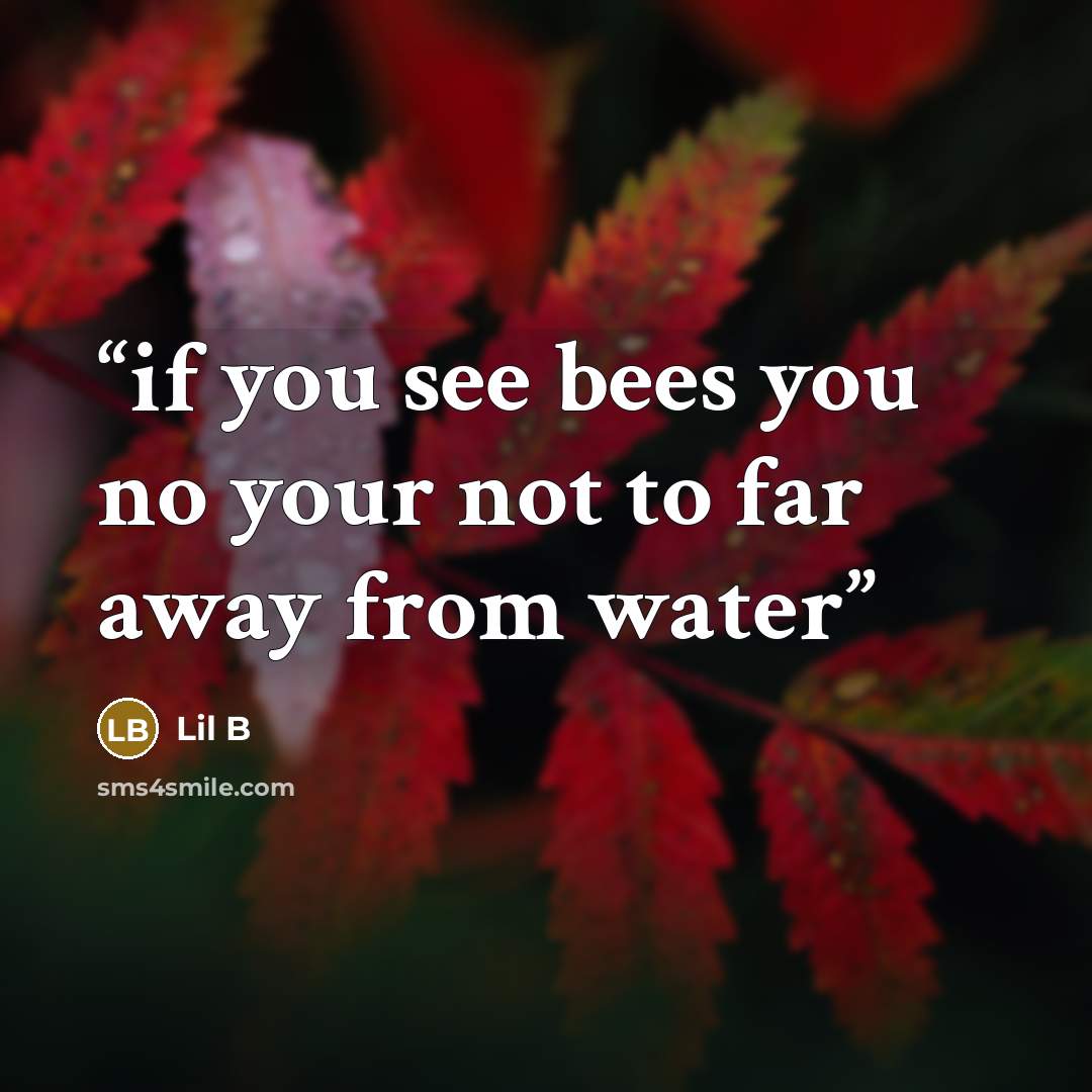 “if you see bees you no your not to far away from water” quote by lil b