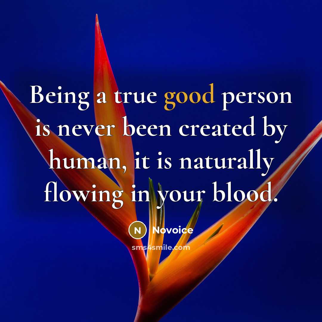 “Being a true good person is never been created by…” quote by Novoice
