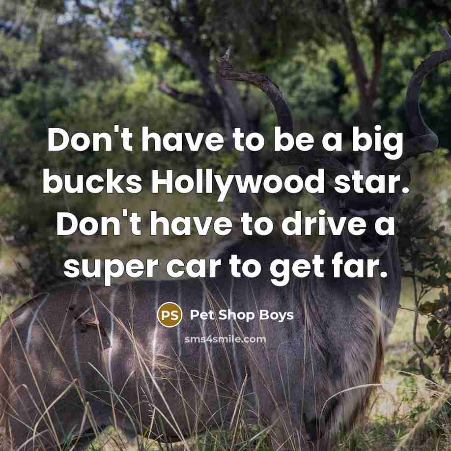 “Don't have to be a big bucks Hollywood star. Don't have to drive a super car to get far.” quote by Pet Shop Boys