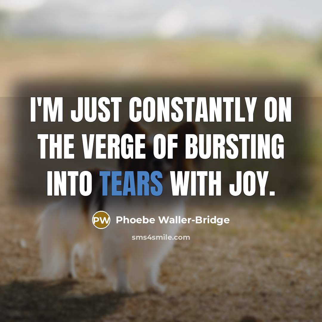 “I'm just constantly on the verge of bursting into tears…” quote by Phoebe Waller-Bridge