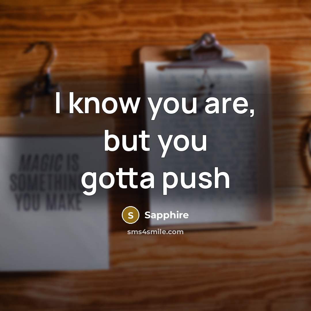 “I know you are, but you gotta push…” quote by Sapphire