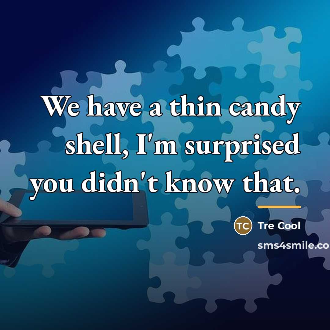 “We have a thin candy shell, I'm surprised you didn't…” quote by Tre Cool