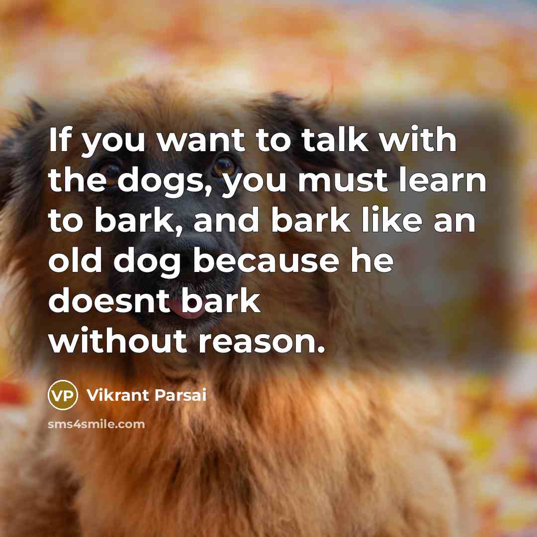 “If you want to talk with the dogs, you must…” quote by Vikrant Parsai