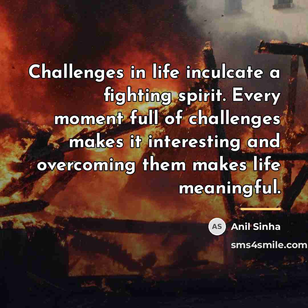 “Challenges in life inculcate a fighting spirit. Every moment full…” quote by Anil Sinha