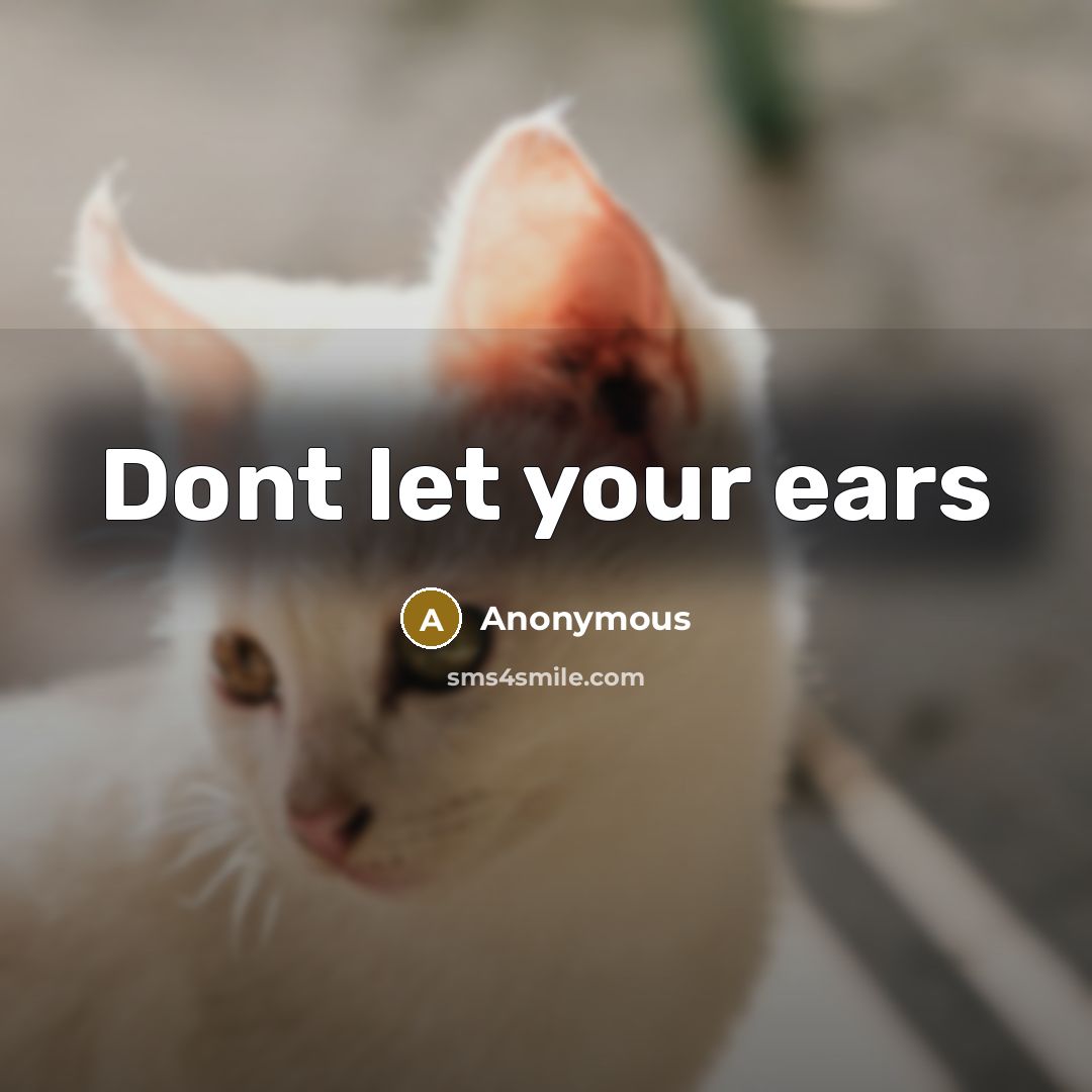 “Dont let your ears” quote by Anonymous