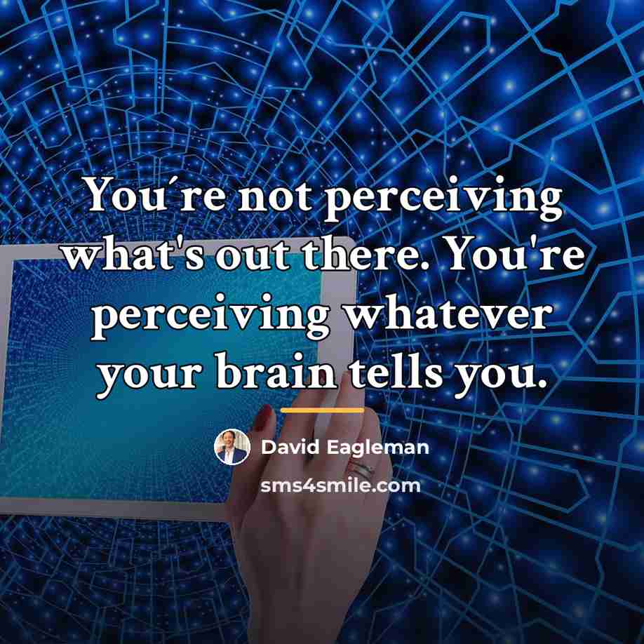 “You´re not perceiving what's out there. You're perceiving whatever your…” quote by David Eagleman