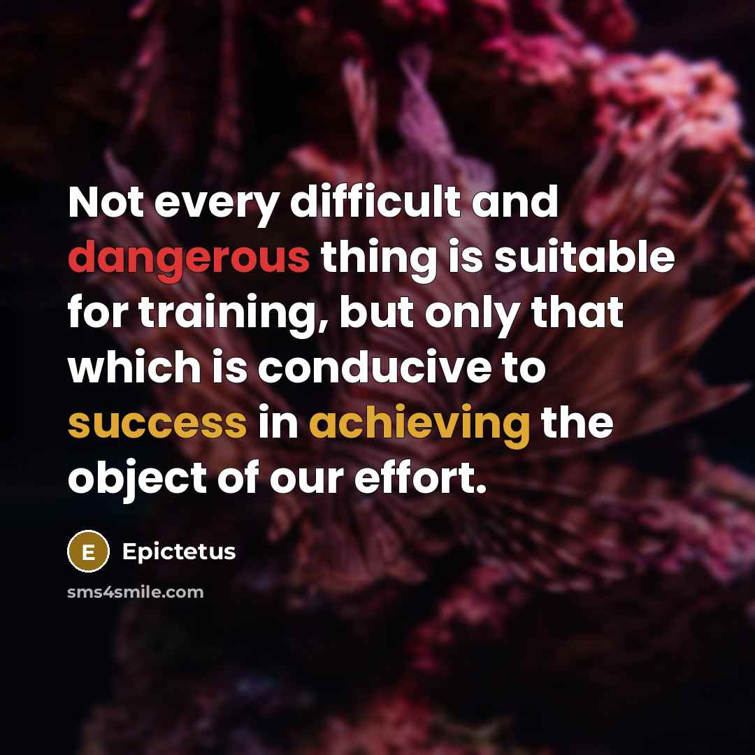 “Not every difficult and dangerous thing is suitable for training, but only that which is conducive to success in achieving the object of our effort.” quote by Epictetus
