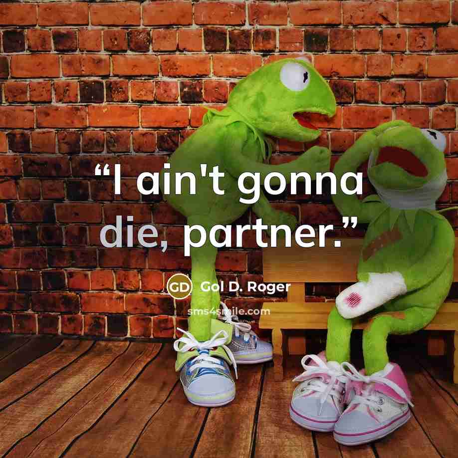 “I ain't gonna die, partner.” quote by Gol D. Roger