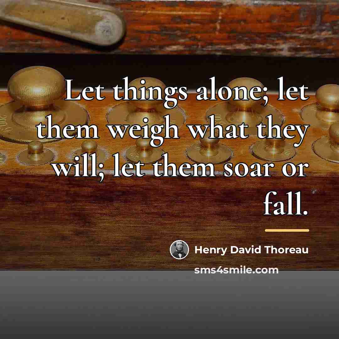 “Let things alone; let them weigh what they will; let…” quote by Henry David Thoreau