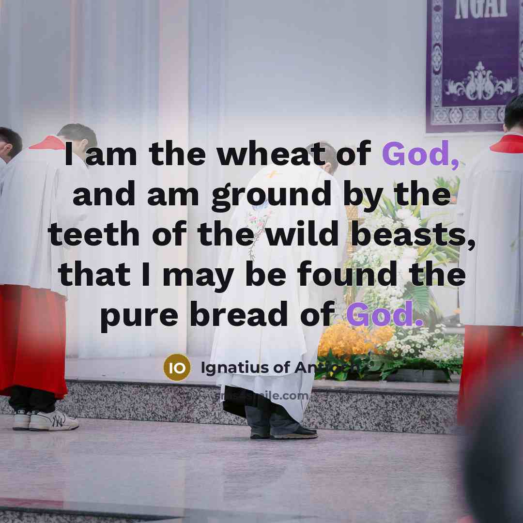 “I am the wheat of God, and am ground by…” quote by Ignatius of Antioch