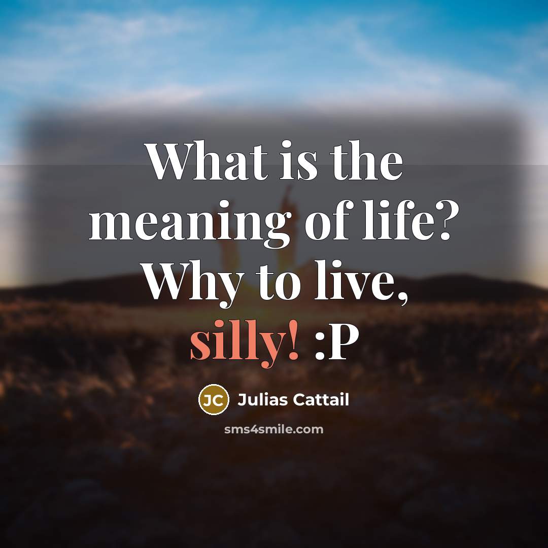 “What is the meaning of life? Why to live, silly!…” quote by Julias Cattail