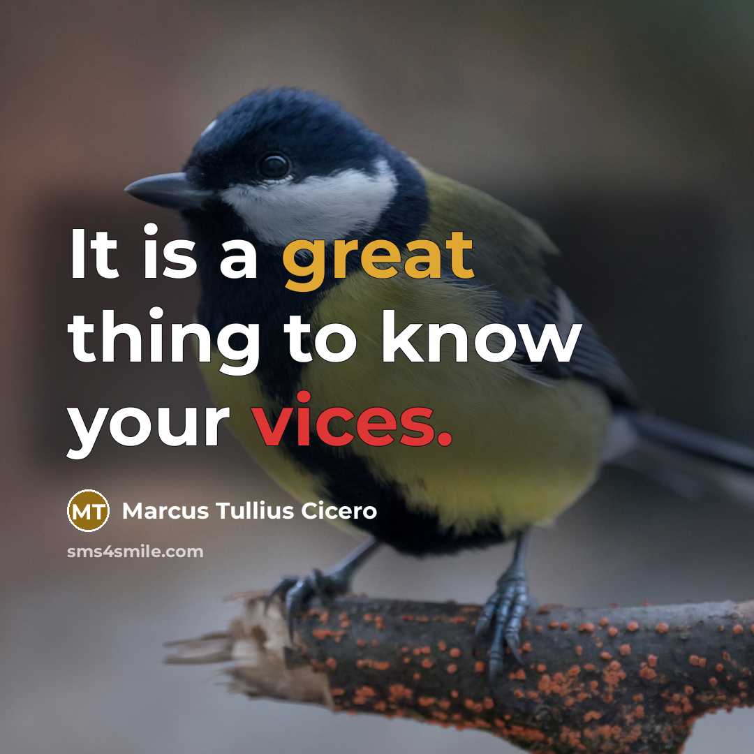 “It is a great thing to know your vices.” quote by Marcus Tullius Cicero
